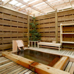 Отель Yamaguchiya Ryokan Насусиобара бассейн
