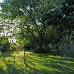 Отель Stellenhof Farmstay B&B фото 2