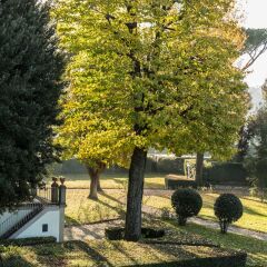 Отель Villa Olmi Firenze фото 18