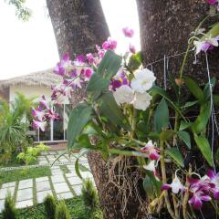 Blue Sea Boutique Hotel фото 2