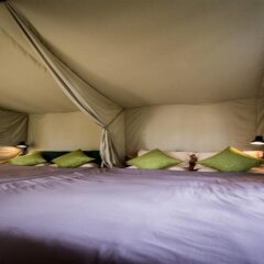 Отель Yolo Camping House Далат детские мероприятия