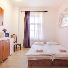 Апартаменты Apartment Zarra комната для гостей