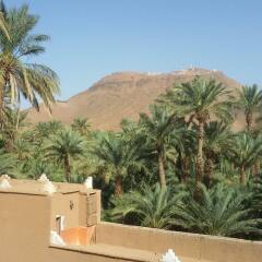 Отель Riad Dar Zaouia Марокко, Загора - отзывы, цены и фото номеров - забронировать отель Riad Dar Zaouia онлайн балкон