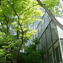 Отель Ark Hotel Royal Fukuoka Tenjin Япония, Тэндзин - отзывы, цены и фото номеров - забронировать отель Ark Hotel Royal Fukuoka Tenjin онлайн фото 2