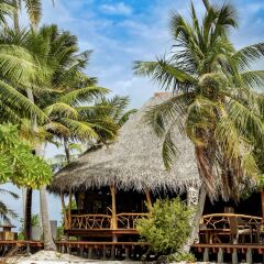 Отель Ninamu Resort - All Inclusive Французская Полинезия, Тикехау - отзывы, цены и фото номеров - забронировать отель Ninamu Resort - All Inclusive онлайн фото 10
