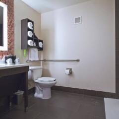 Отель Hampton Inn & Suites Columbus - Downtown США, Колумбус - отзывы, цены и фото номеров - забронировать отель Hampton Inn & Suites Columbus - Downtown онлайн ванная