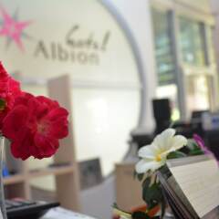 Hotel Albion гостиничный бар
