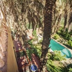 Отель Riad Soleil du Monde Марокко, Загора - отзывы, цены и фото номеров - забронировать отель Riad Soleil du Monde онлайн бассейн