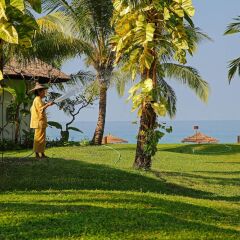 Отель NgapaliI Bay Villas & Spa с домашними животными