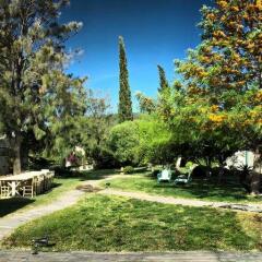 Отель The Marmara Bodrum - Adult Only