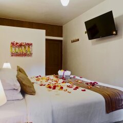 Отель Chalet del Carmen Coyoacán Мексика, Мехико - отзывы, цены и фото номеров - забронировать отель Chalet del Carmen Coyoacán онлайн в номере