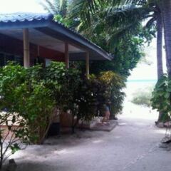 Отель Koh Tao Tropicana Resort Таиланд, Остров Тау - отзывы, цены и фото номеров - забронировать отель Koh Tao Tropicana Resort онлайн фото 9