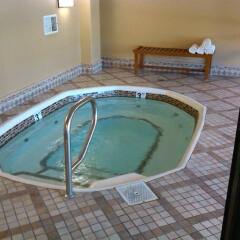Отель Jockey Club Suites США, Лас-Вегас - отзывы, цены и фото номеров - забронировать отель Jockey Club Suites онлайн бассейн фото 3
