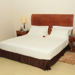Aphrodite International Hotel in Addis Ababa, Ethiopia from 147$, photos, reviews - zenhotels.com guestroom photo 5
