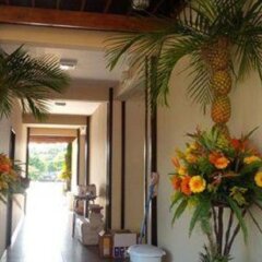 G Boutique Hotel in Fronteras, Guatemala from 216$, photos, reviews - zenhotels.com photo 4