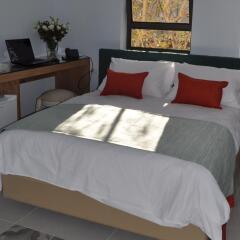 Bat Galim Boutique Hotel Израиль, Хайфа - 3 отзыва об отеле, цены и фото номеров - забронировать отель Bat Galim Boutique Hotel онлайн комната для гостей фото 4