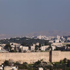 Leonardo Plaza Hotel Jerusalem Израиль, Иерусалим - 9 отзывов об отеле, цены и фото номеров - забронировать отель Leonardo Plaza Hotel Jerusalem онлайн фото 10