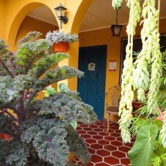 Отель La Posada de Juan B&B Грасьяс фото 4