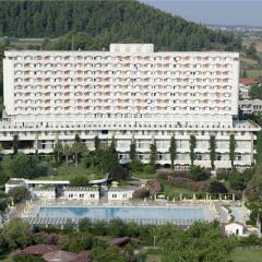 Отель Athos Palace