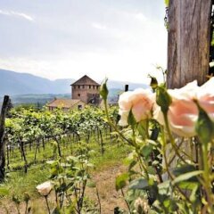 Schloss Hotel Korb Аппиано-сулла-Страда-дель-Вино фото 13