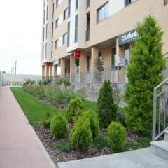 Отель Aparthotel Encasa Испания, Мадрид - отзывы, цены и фото номеров - забронировать отель Aparthotel Encasa онлайн фото 3