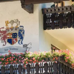 Отель Carinthia Австрия, Гастайнерталь - отзывы, цены и фото номеров - забронировать отель Carinthia онлайн фото 2