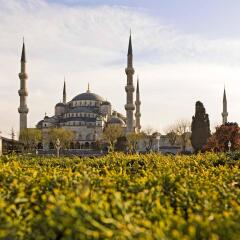 Отель Mercure Istanbul Topkapi фото 3
