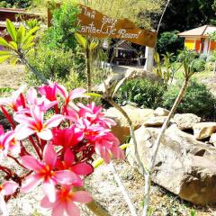 Отель Phu Lanta Life Ланта фото 13