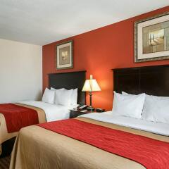 Отель Comfort Inn Kingsville Кингсвилль комната для гостей фото 5