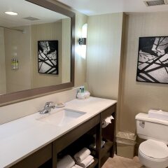 Отель Holiday Inn Express Vancouver-Metrotown (Burnaby) Канада, Бурнаби - отзывы, цены и фото номеров - забронировать отель Holiday Inn Express Vancouver-Metrotown (Burnaby) онлайн ванная фото 2