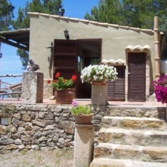Отель Agroturismo S'Olivar Испания, Эстелленс - отзывы, цены и фото номеров - забронировать отель Agroturismo S'Olivar онлайн фото 4