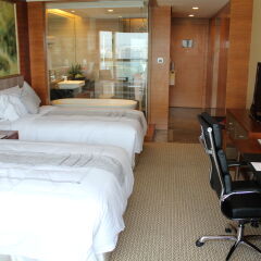 Grand Skylight International Hotel Shenzhen Guanlan Avenue комната для гостей фото 5