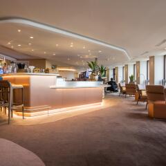 Radisson Blu Hotel Lyon гостиничный бар