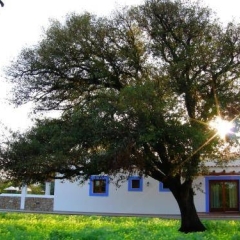 Отель Agroturismo Sa Vinya d'en Palerm фото 5