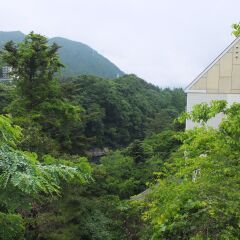 Отель Kinugawa Park Hotels Park Cottage Никко