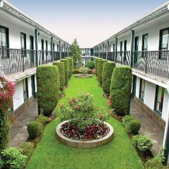 Отель Days Inn - Vancouver Metro Канада, Ванкувер - отзывы, цены и фото номеров - забронировать отель Days Inn - Vancouver Metro онлайн фото 5