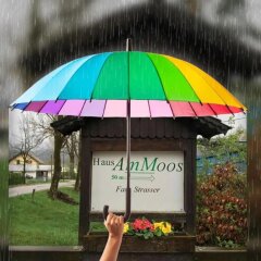 Отель Haus am Moos Австрия, Зальцбург - отзывы, цены и фото номеров - забронировать отель Haus am Moos онлайн приотельная территория фото 2