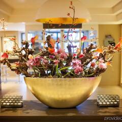 Отель Albus Hotel Amsterdam City Centre Нидерланды, Амстердам - 1 отзыв об отеле, цены и фото номеров - забронировать отель Albus Hotel Amsterdam City Centre онлайн развлечения