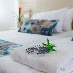 Ascos Coral Beach Hotel комната для гостей фото 5