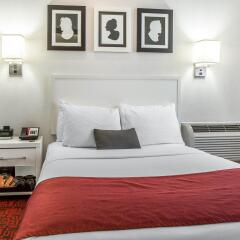 Отель The GEM Hotel - Chelsea США, Нью-Йорк - отзывы, цены и фото номеров - забронировать отель The GEM Hotel - Chelsea онлайн комната для гостей фото 4