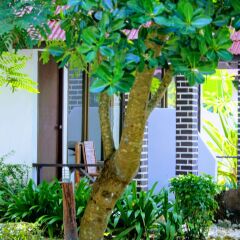 Отель Lanta Veranda Resort Таиланд, Ланта - 1 отзыв об отеле, цены и фото номеров - забронировать отель Lanta Veranda Resort онлайн фото 9
