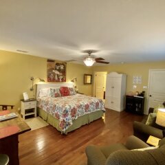 Comal Inn in New Braunfels, United States of America from 182$, photos, reviews - zenhotels.com guestroom