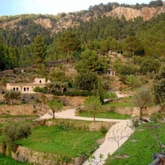 Отель Agroturismo S'Olivar Испания, Эстелленс - отзывы, цены и фото номеров - забронировать отель Agroturismo S'Olivar онлайн фото 2