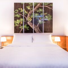 Отель Sagitta Swiss Quality Hotel Швейцария, Женева - отзывы, цены и фото номеров - забронировать отель Sagitta Swiss Quality Hotel онлайн комната для гостей фото 3