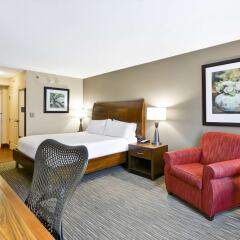 Отель Hilton Garden Inn Sarasota - Bradenton Airport комната для гостей фото 5