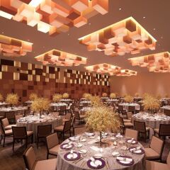 Отель Grand Hyatt Singapore Сингапур, Сингапур - 1 отзыв об отеле, цены и фото номеров - забронировать отель Grand Hyatt Singapore онлайн помещение для мероприятий