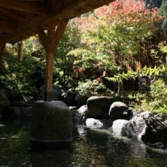 Tsuetate Kanko Hotel Hizenya Минамиогуни