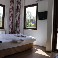 Nesos Hotel in Ayvalik, Turkiye from 100$, photos, reviews - zenhotels.com guestroom