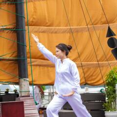 Отель Phoenix Luxury Cruise Halong фитнесс-зал фото 3