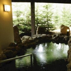 Sahoro Resort Hotel Камикава бассейн